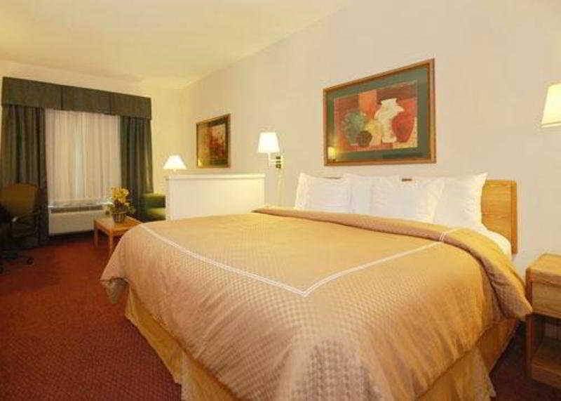 Comfort Suites New Braunfels Rum bild