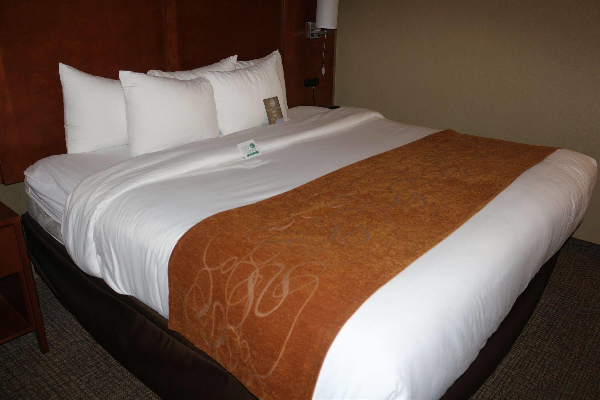 Comfort Suites New Braunfels Exteriör bild